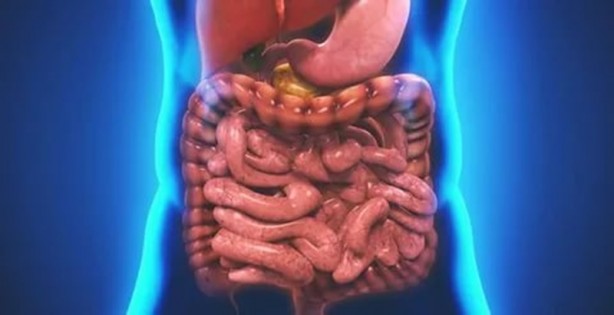 Foto - Ceviz suyunun inanılmaz etkisi! Kilo verdiriyor