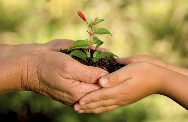 Foto - Ceviz suyunun inanılmaz etkisi! Kilo verdiriyor