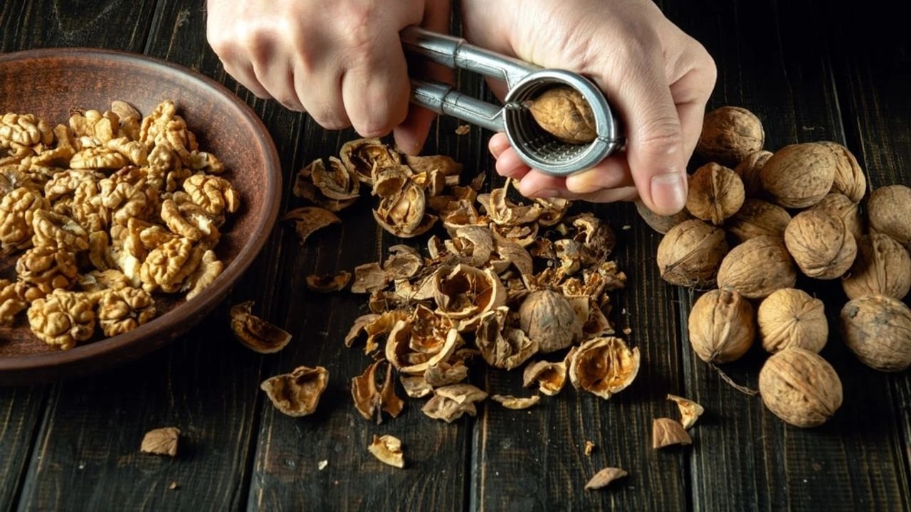 Ceviz tüketerek kalbinizi koruyun!