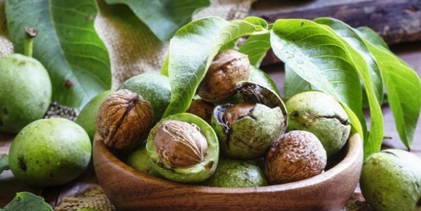 Ceviz yaprağının bilinmeyen yeni bir faydası ortaya çıktı! Bunun üzerine bir rakip yok: Ne işe yarar açıklıyoruz