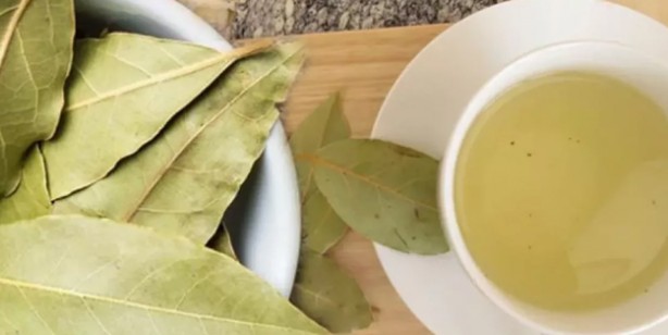 Foto - Ceviz yaprağının bilinmeyen yeni bir faydası ortaya çıktı! Bunun üzerine bir rakip yok: Ne işe yarar açıklıyoruz