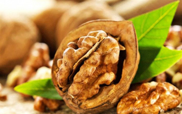 Ceviz yaprağının öyle faydaları var ki!