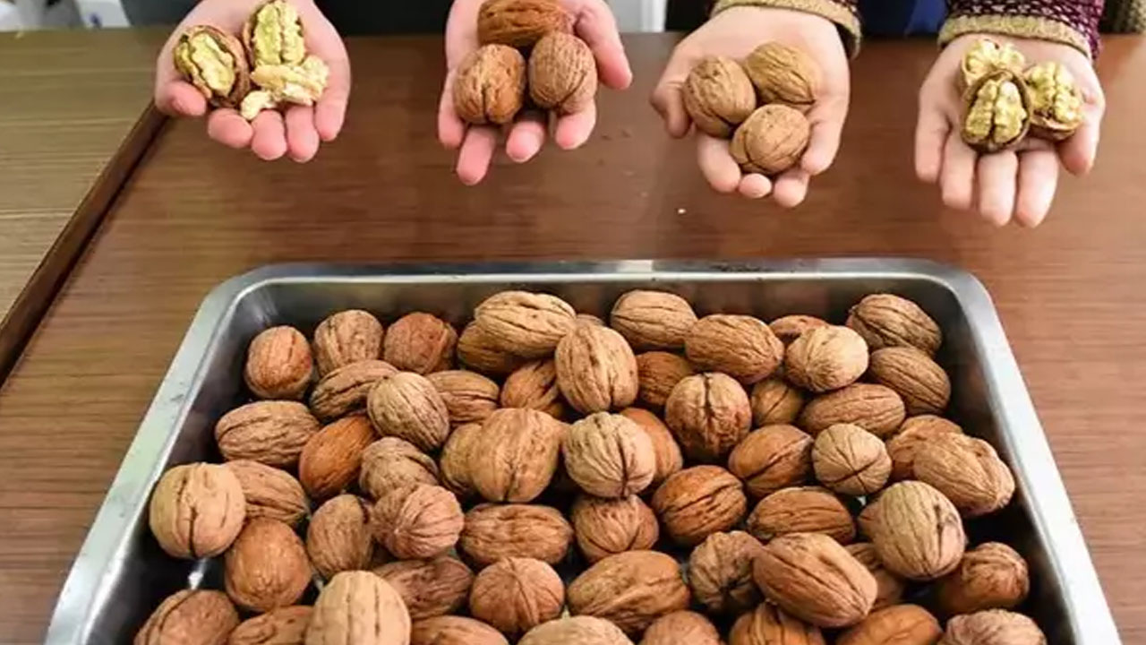 Foto - Ceviz yerseniz bakın ne olur?