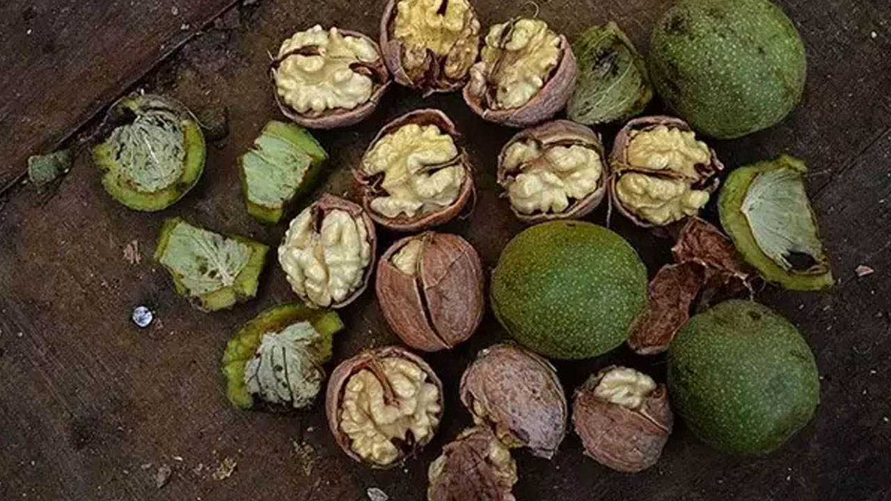 Foto - Ceviz yerseniz bakın ne olur?