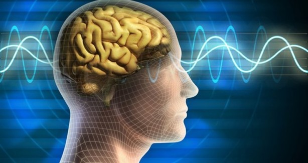 Foto - Cevizi bir gece suda bekletip içerseniz faydasına inanamayacaksınız!