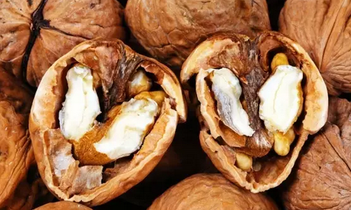 Foto - Cevizin içindeki zar şifa dağıtıyor! O kısmı ayıklayıp atıyoruz ama... Sakın atmayın yüzde 99'u altın değerinde