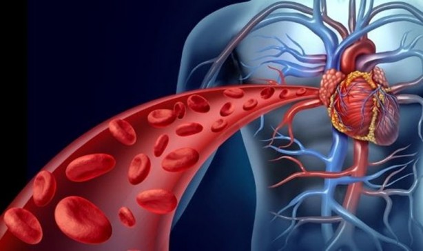 Foto - Cevizin vücuttaki inanılmaz etkisi! Tükettiğiniz anda ortaya çıkıyor