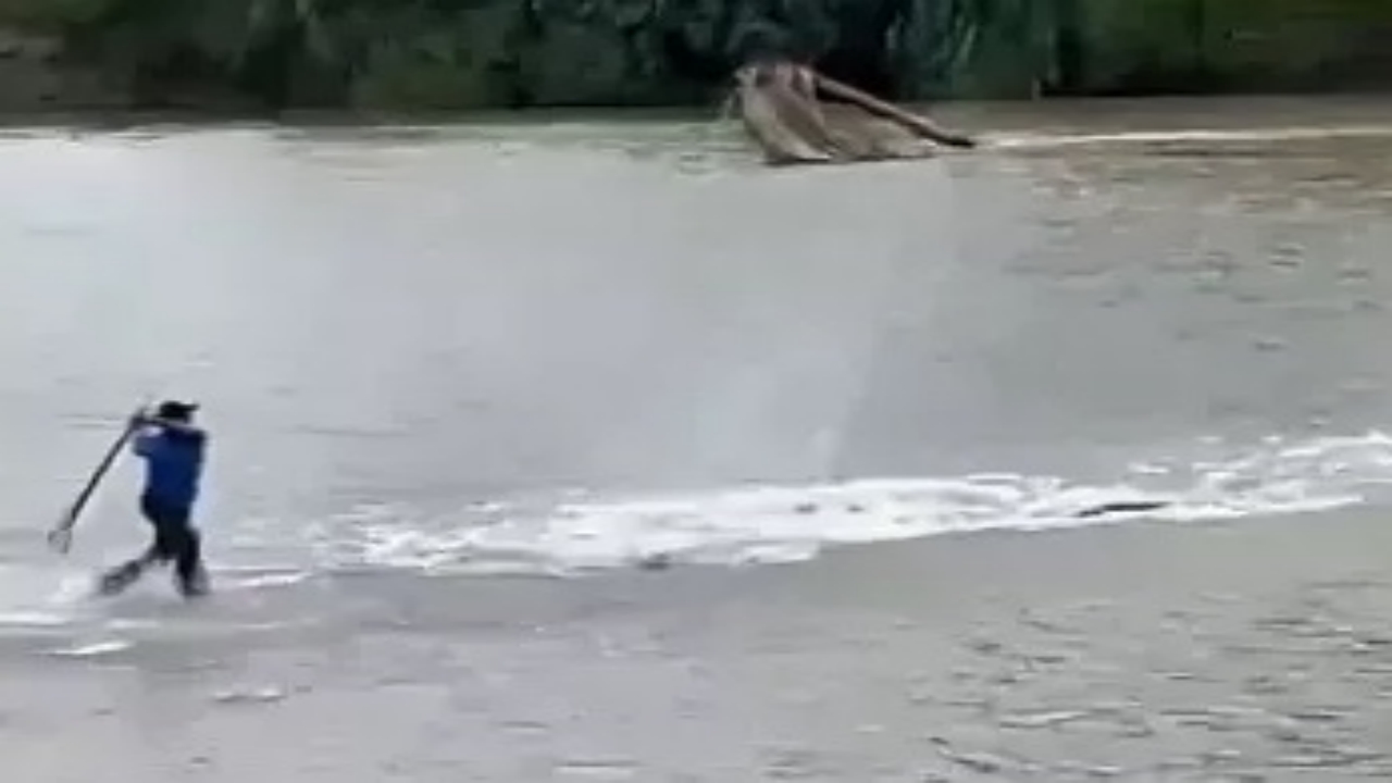 Foto - Çevredekilerin kurtarma çabası sonuçsuz kaldı! Timsah, suya sürüklediği yaşlı adamı böyle öldürdü 