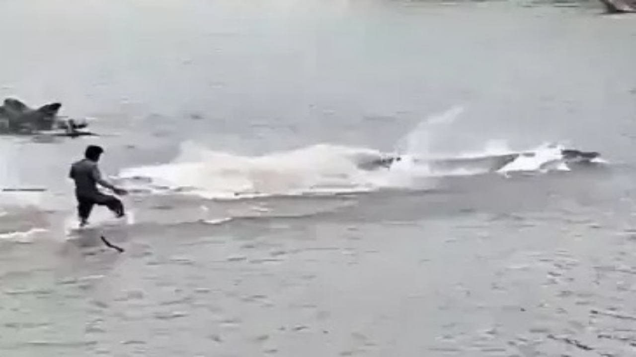 Foto - Çevredekilerin kurtarma çabası sonuçsuz kaldı! Timsah, suya sürüklediği yaşlı adamı böyle öldürdü 