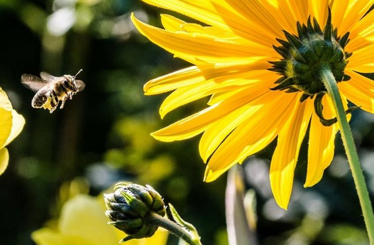 Foto - Çevrenizdeki insanları etkileyebileceğiniz 10 şaşırtıcı bilgi sizi şaşkına çevirecek!