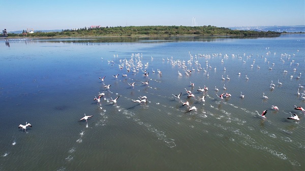 Çevresel dönüşümün simgesi: Hersek Lagünü