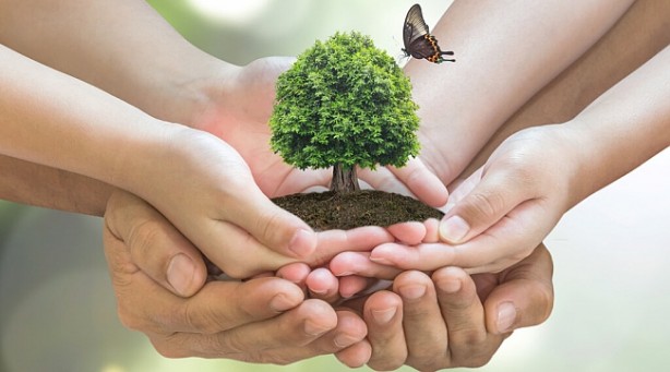 Foto - Çevreyi korumaya 2022’de 140.3 milyar lira harcandı!