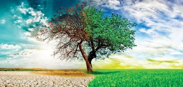 Foto - Çevreyi korumaya 2022’de 140.3 milyar lira harcandı!