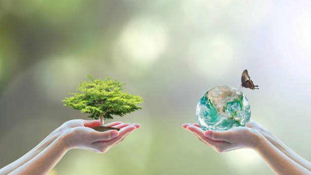 Foto - Çevreyi korumaya 2022’de 140.3 milyar lira harcandı!