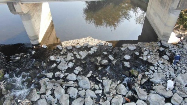 Foto - Ceyhan Nehri’nde binlerce ölüm! Nedeni araştırılıyor