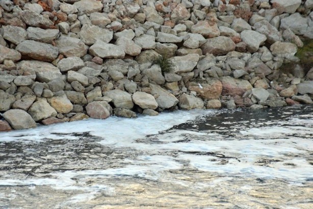 Foto - Ceyhan Nehri'nde endişelendiren görüntü