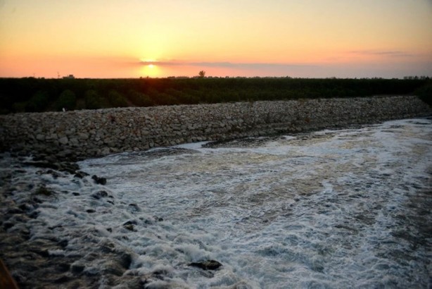 Foto - Ceyhan Nehri'nde endişelendiren görüntü