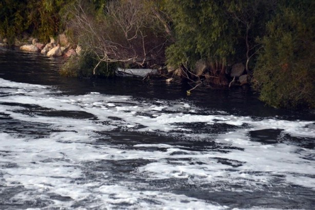 Ceyhan Nehri'nde endişelendiren görüntü