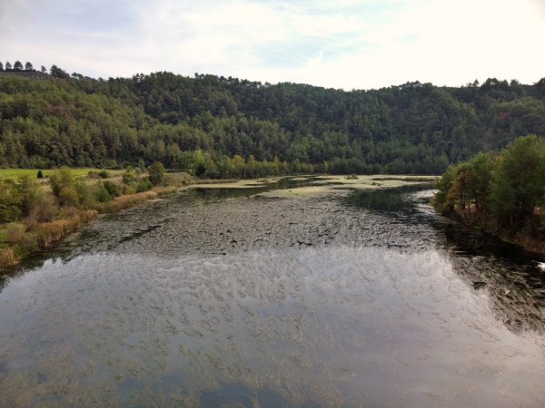 Foto - Ceyhan Nehri'nde sonbahar
