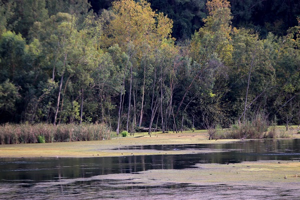 Foto - Ceyhan Nehri'nde sonbahar
