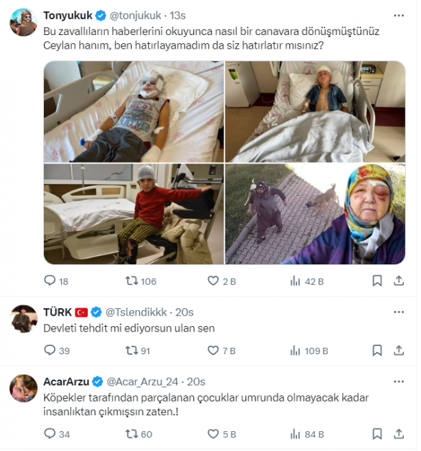 Foto - Ceylan Ertem, devleti tehdit etti