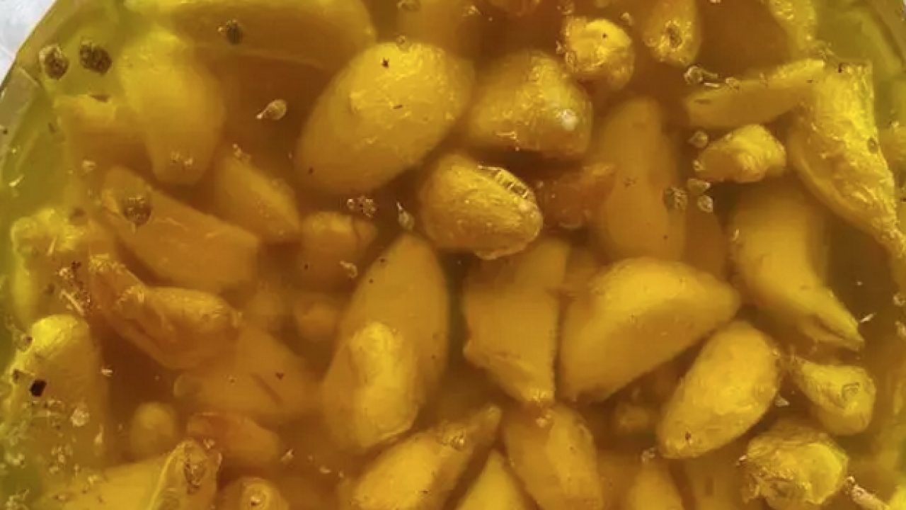 Foto - Çeyrek bardağı bile damardaki kolesterolü silip atıyor! Kabuğunu limonla kaynatınca vücudu zımba gibi yapıyor!