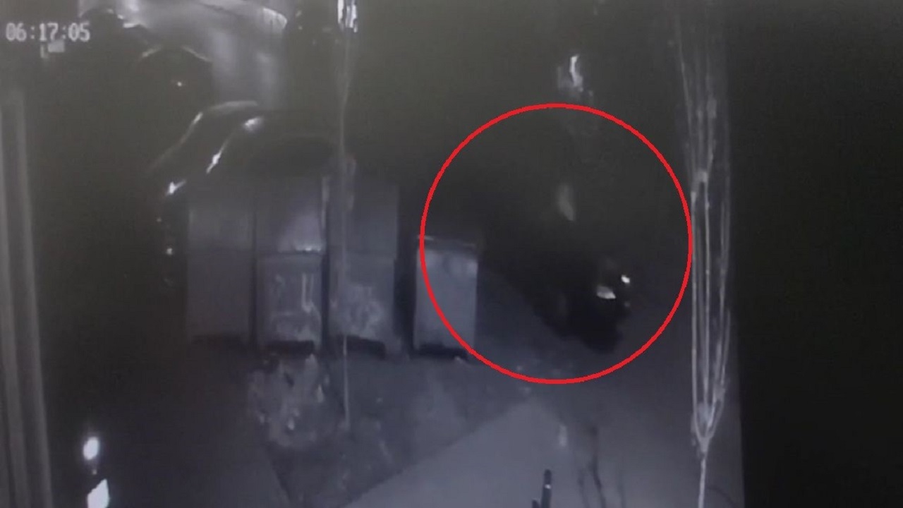 Foto - Cezaevinden sadece 10 gün uzak kalabildiler