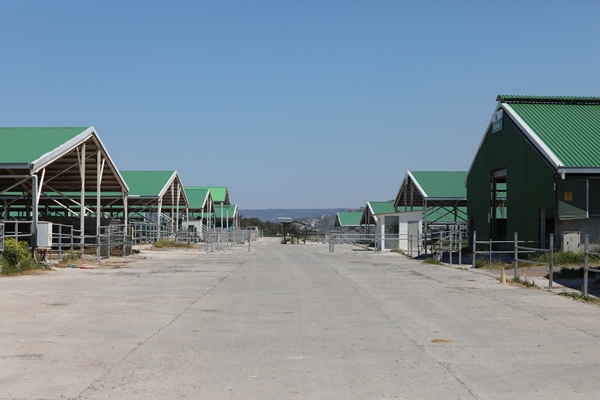 Foto - Cezaevinin elektrik ihtiyacı gübreden sağlanıyor!