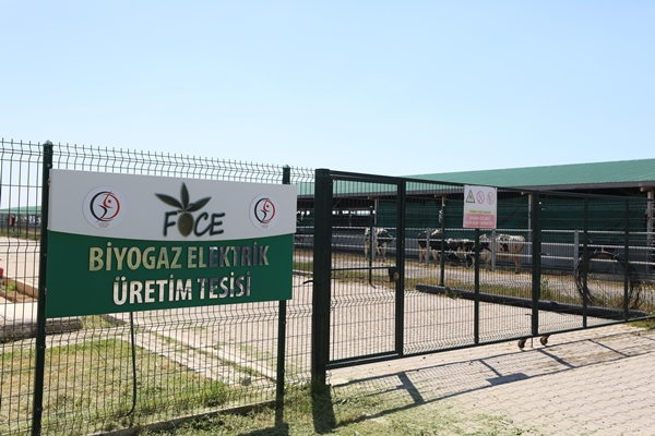 Foto - Cezaevinin elektrik ihtiyacı gübreden sağlanıyor!