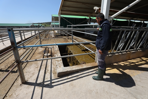 Foto - Cezaevinin elektrik ihtiyacı gübreden sağlanıyor!