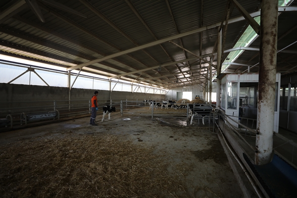 Foto - Cezaevinin elektrik ihtiyacı gübreden sağlanıyor!