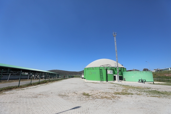 Foto - Cezaevinin elektrik ihtiyacı gübreden sağlanıyor!