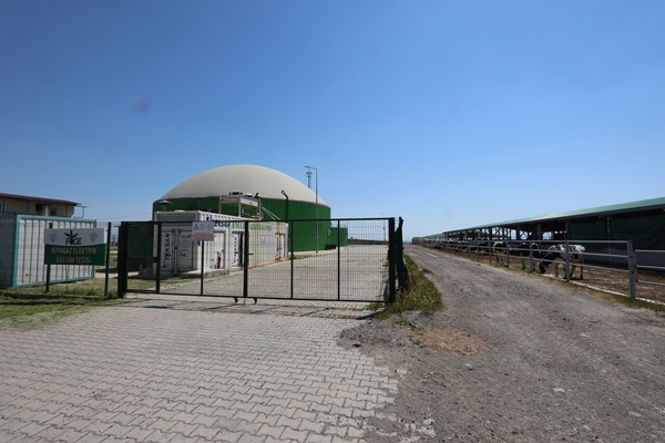 Foto - Cezaevinin elektrik ihtiyacı gübreden sağlanıyor!