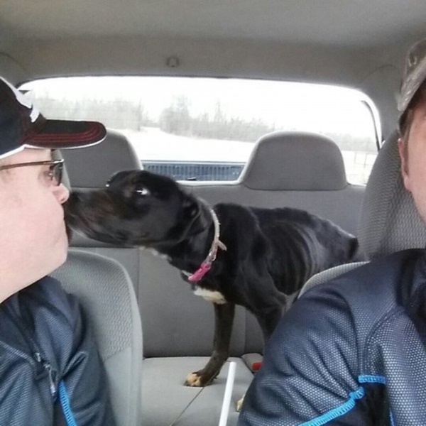 Foto - Charlie Bravo'nun acıklı hikayesi