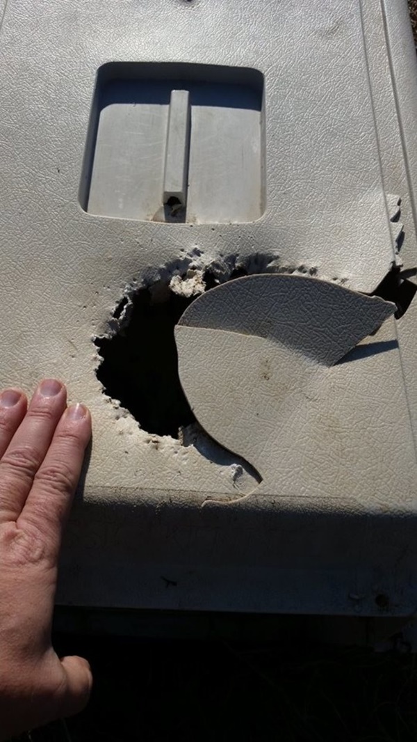 Foto - Charlie Bravo'nun acıklı hikayesi