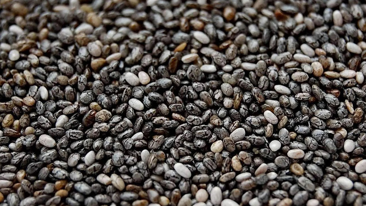 Foto - Chia Tohumu Nedir? Süper Gıda mı, Yoksa Abartı mı?