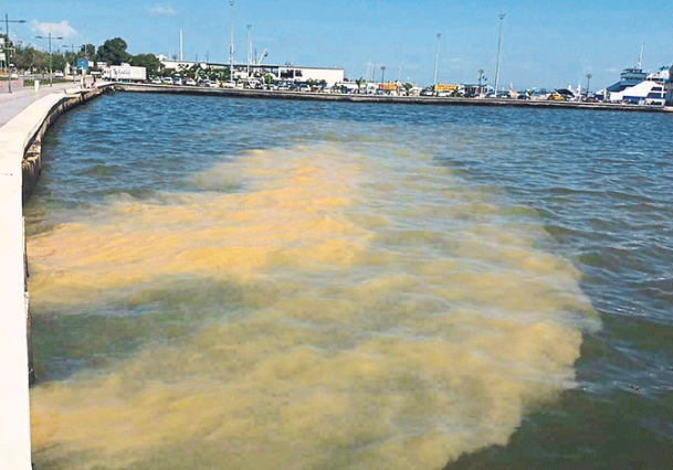 Foto - CHP kokmaya başladı! İzmir’in çöpü ya da lağım suyu ile açıklanacak cinsten bir koku değil 