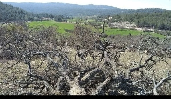 Foto - CHP Muğla’da bir enkaz bıraktı! 25 yılda alt yapı, su sorununu çözemedi