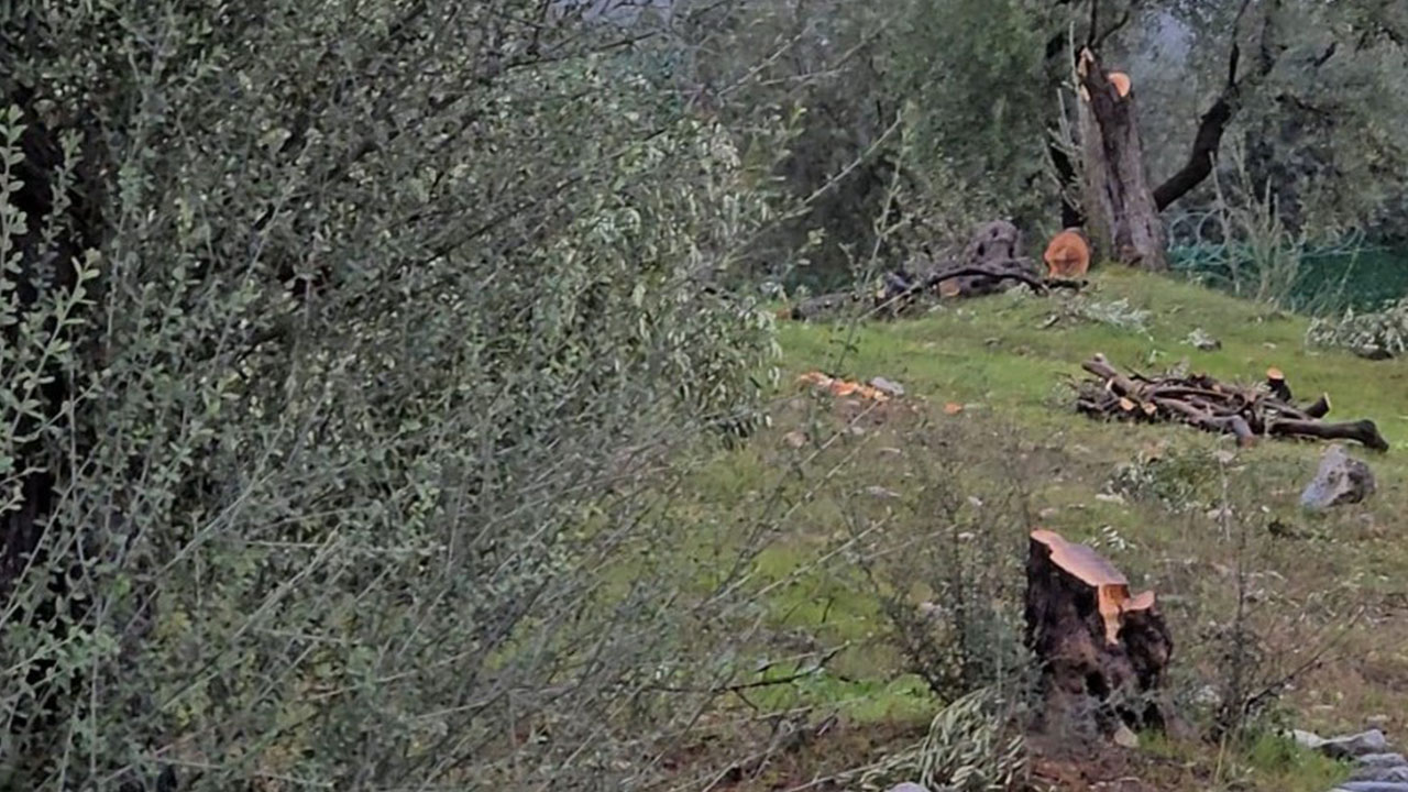 CHP zihniyetinin ikiyüzlülüğünü gözler önüne sermişti… Cezası belli oldu!