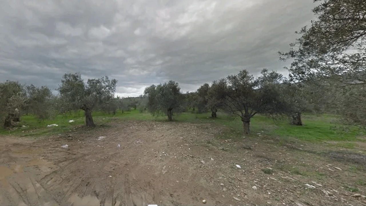 Foto - CHP’li başkandan İhanet! Kaz dağları parsel parsel…