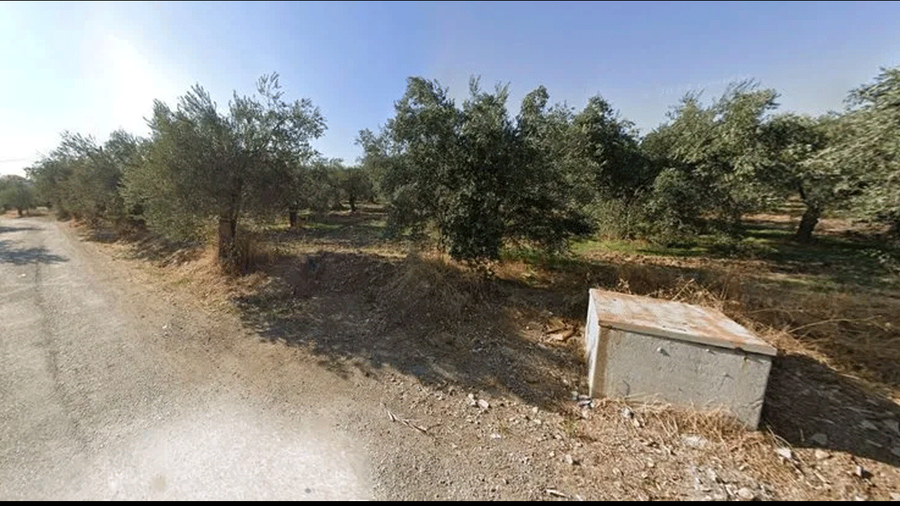 Foto - CHP’li başkandan İhanet! Kaz dağları parsel parsel…