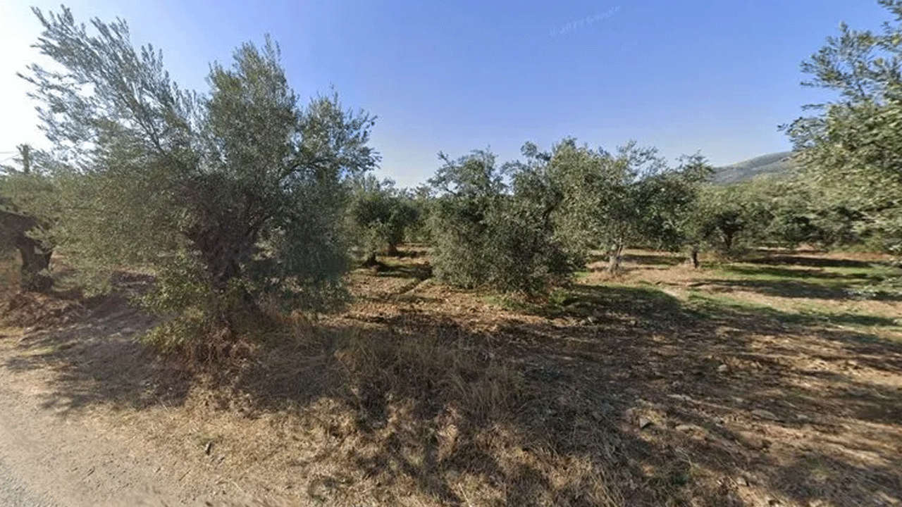 Foto - CHP’li başkandan İhanet! Kaz dağları parsel parsel…