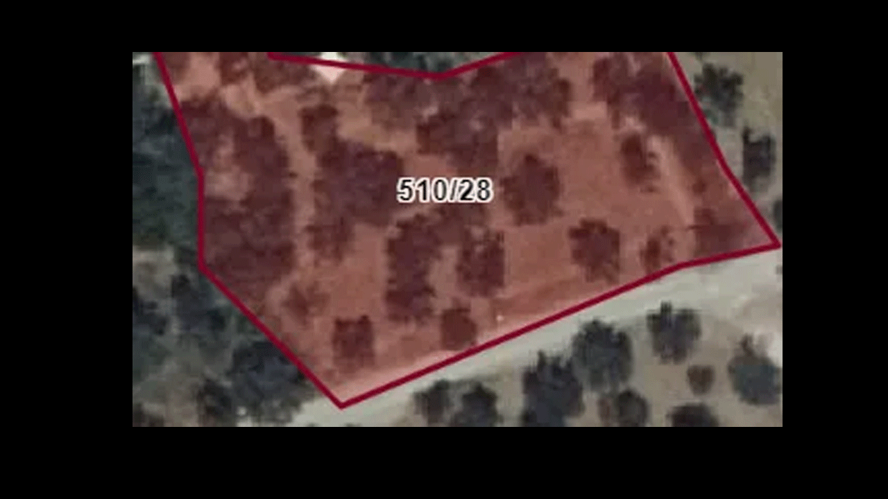 Foto - CHP’li başkandan İhanet! Kaz dağları parsel parsel…