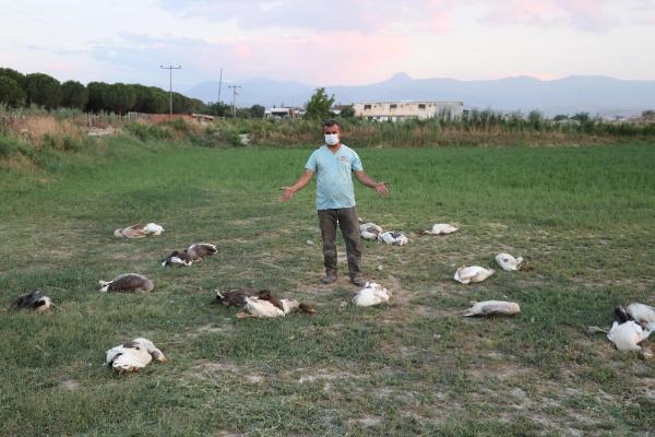 Foto - CHP’li başkandan kan donduran sözler: Hepsini vurdum, git etleri soğumadan al