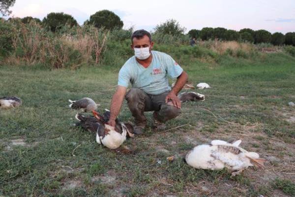 Foto - CHP’li başkandan kan donduran sözler: Hepsini vurdum, git etleri soğumadan al