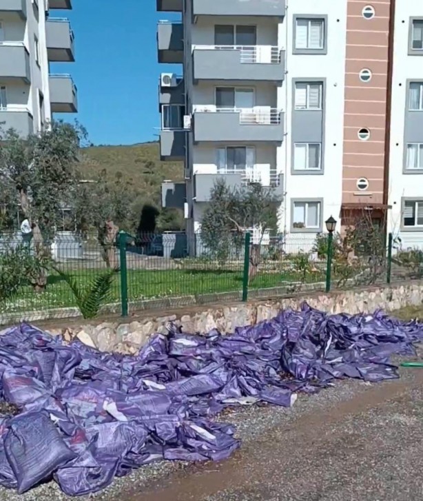 Foto - CHP’li belediye vatandaşlara isyan ettirdi! Halkın sağlığını böyle hiçe saydılar