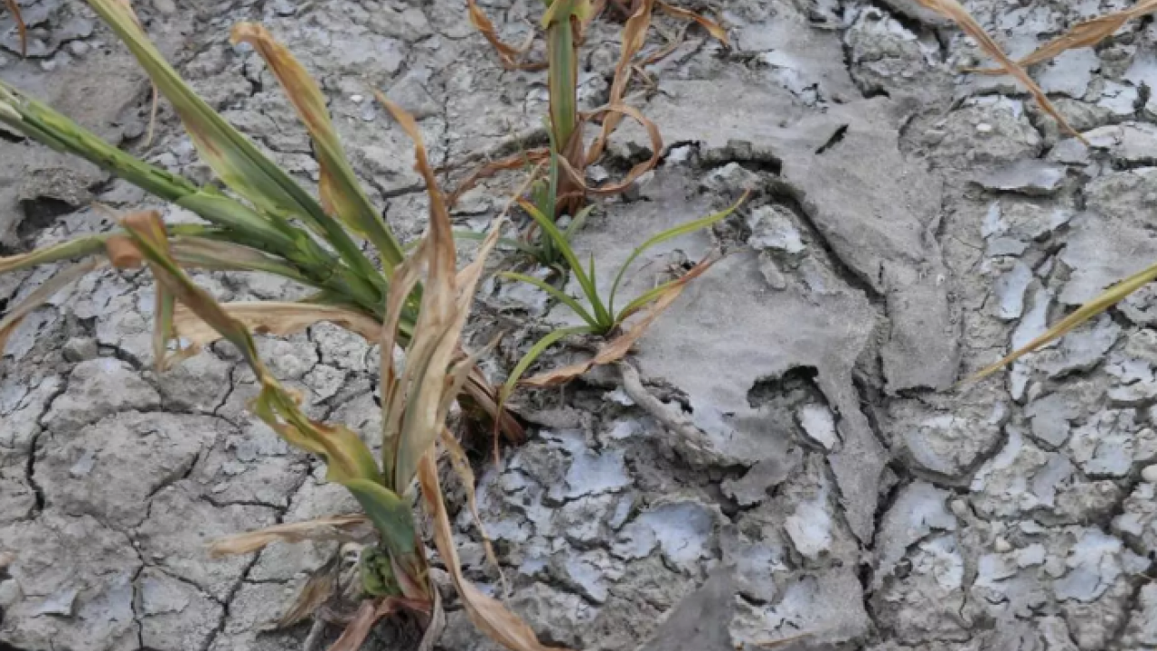 Foto - CHP’li belediyeden pis işler! Çiftçiye arıtılmamış su verdi 1.6 milyon lira ceza yedi