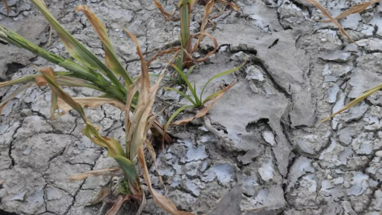 Foto - CHP’li belediyeden pis işler! Çiftçiye arıtılmamış su verdi 1.6 milyon lira ceza yedi