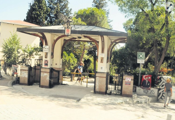CHP’li belediyeden skandal savunma! Ağaçları kesmemişler sadece alandan uzaklaştırmışlar