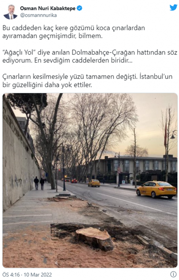 Foto - CHP'li belediyeler dur durak bilmiyor! İstanbul'dan sonra bu kez de İzmir'de ağaç katliamı
